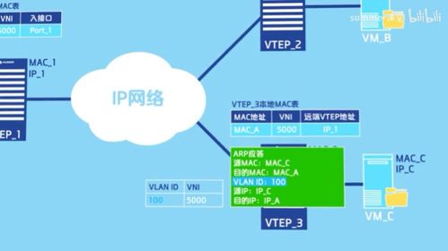 VXLAN通信原理及其在网络与信息安全软件开发中的应用